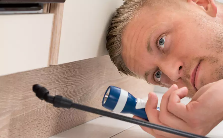 Top-Notch Pest Control in Anaheim