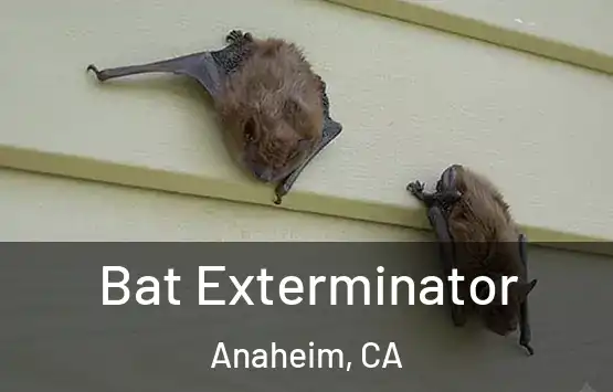  Bat Exterminator Anaheim, CA