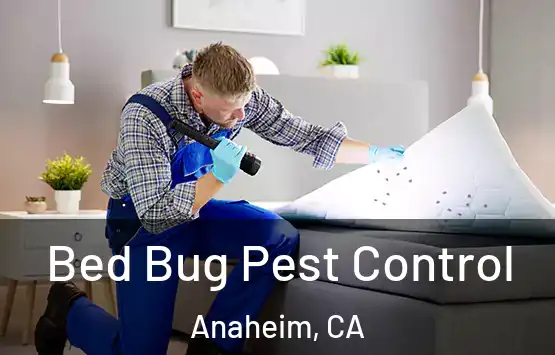  Bed Bug Pest Control Anaheim, CA