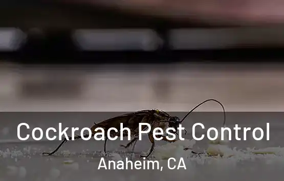  Cockroach Pest Control Anaheim, CA