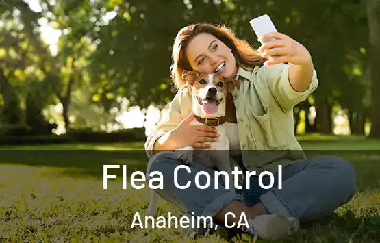  Flea Control Anaheim, CA