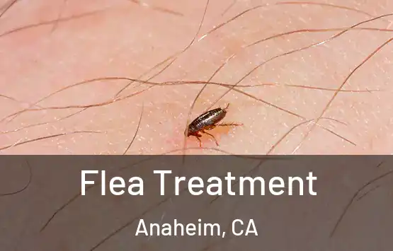  Flea Treatment Anaheim, CA