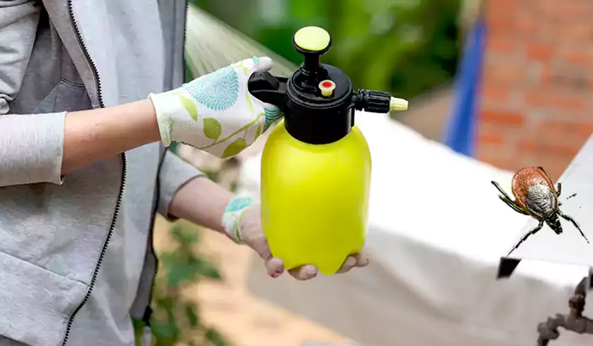 Ticks Pest Control Anaheim, California