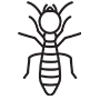 Termites Pest Control Anaheim, California