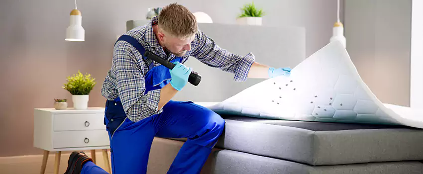 bed-bug-treatment in Anaheim, CA