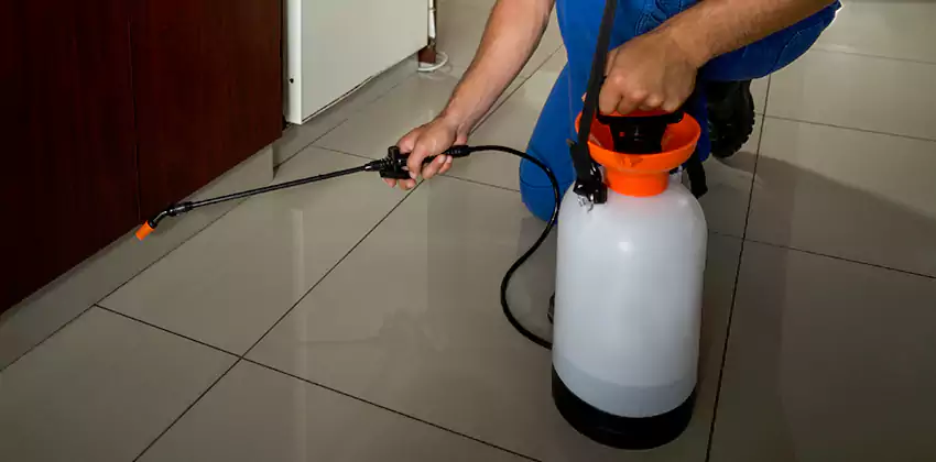 Commercial Pest Extermination for Offices in Anaheim, CA