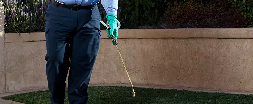 Emergency Pest Extermination for Children and Pets Anaheim, CA