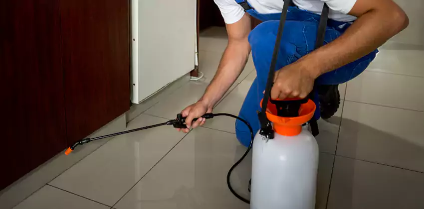 Commercial Flea Exterminator Company in Anaheim, CA
