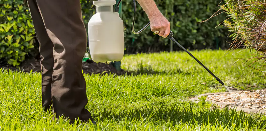 Grub Treatment for Bedrooms Anaheim, CA