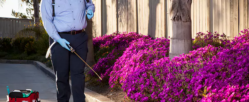 Commercial Mosquito Control Services in Anaheim, CA