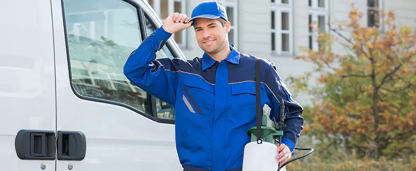 Organic and Chemical Spider Control Options Anaheim, CA