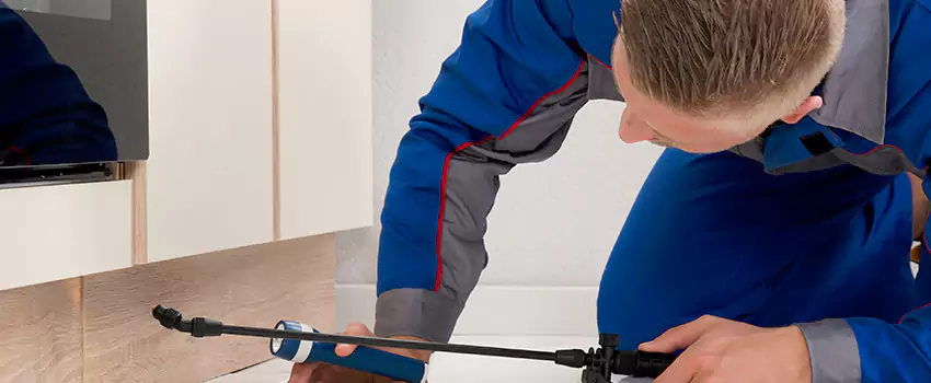 Termite Control for Children and Pets in Anaheim, CA