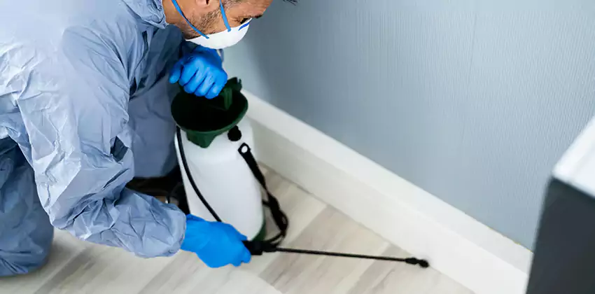 commercial-pest-exterminator in Anaheim, CA