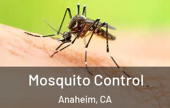  Mosquito Control Anaheim, CA