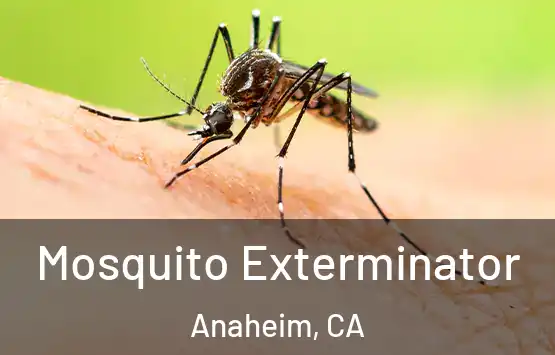  Mosquito Exterminator Anaheim, CA