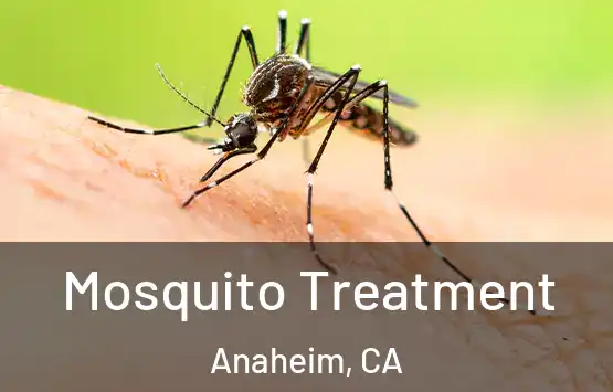  Mosquito Treatment Anaheim, CA
