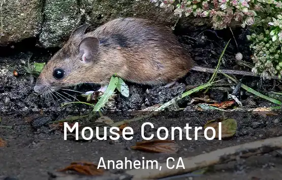  Mouse Control Anaheim, CA