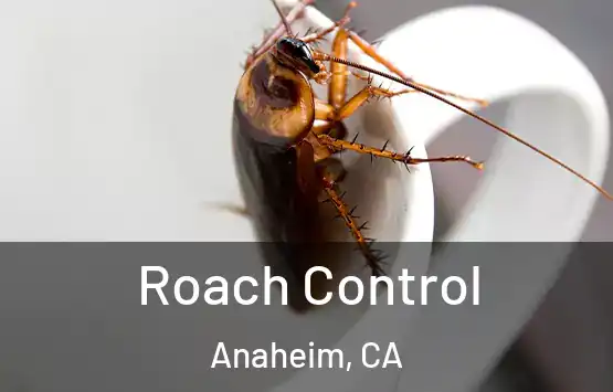  Roach Control Anaheim, CA