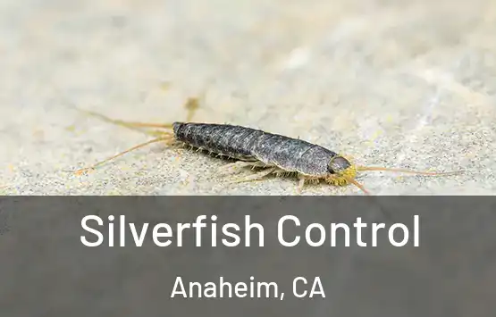  Silverfish Control Anaheim, CA