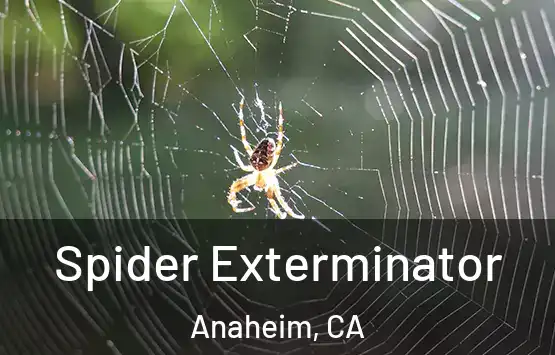  Spider Exterminator Anaheim, CA