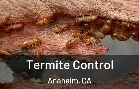  Termite Control Anaheim, CA