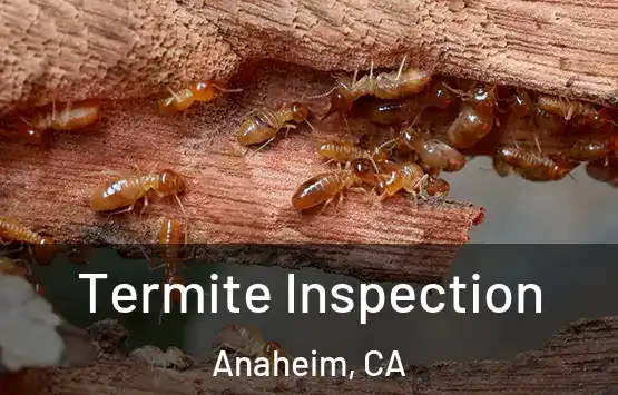  Termite Inspection Anaheim, CA
