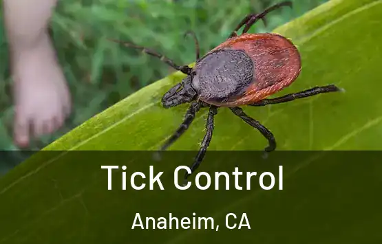  Tick Control Anaheim, CA